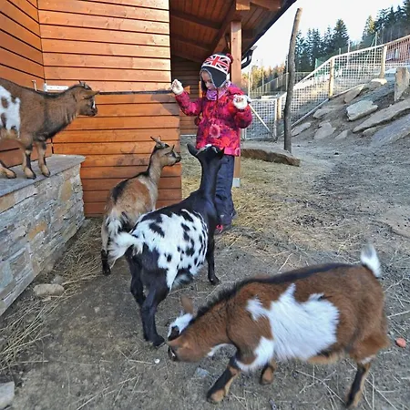Penzion Večernice Dolní Morava